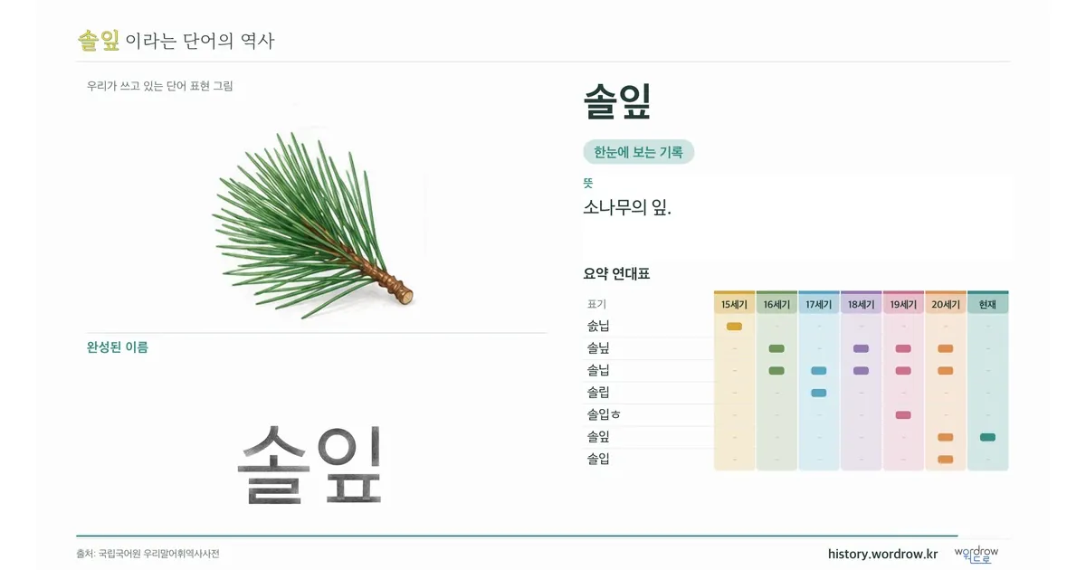 솔잎 대표 이미지
