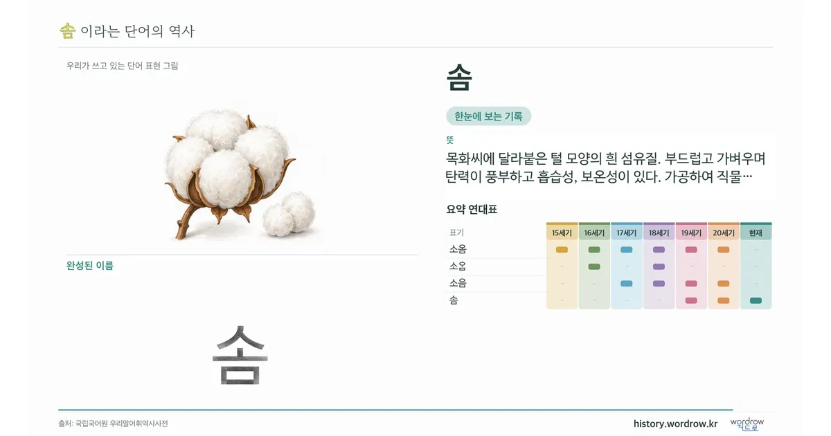 솜 대표 이미지