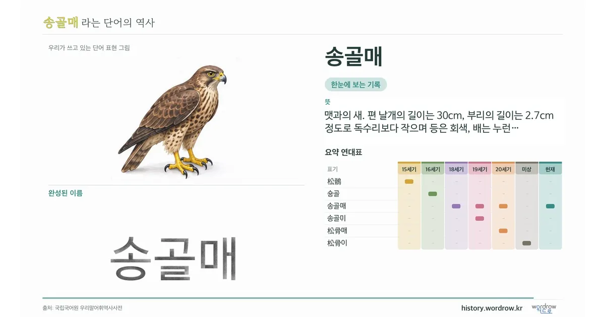 송골매 대표 이미지