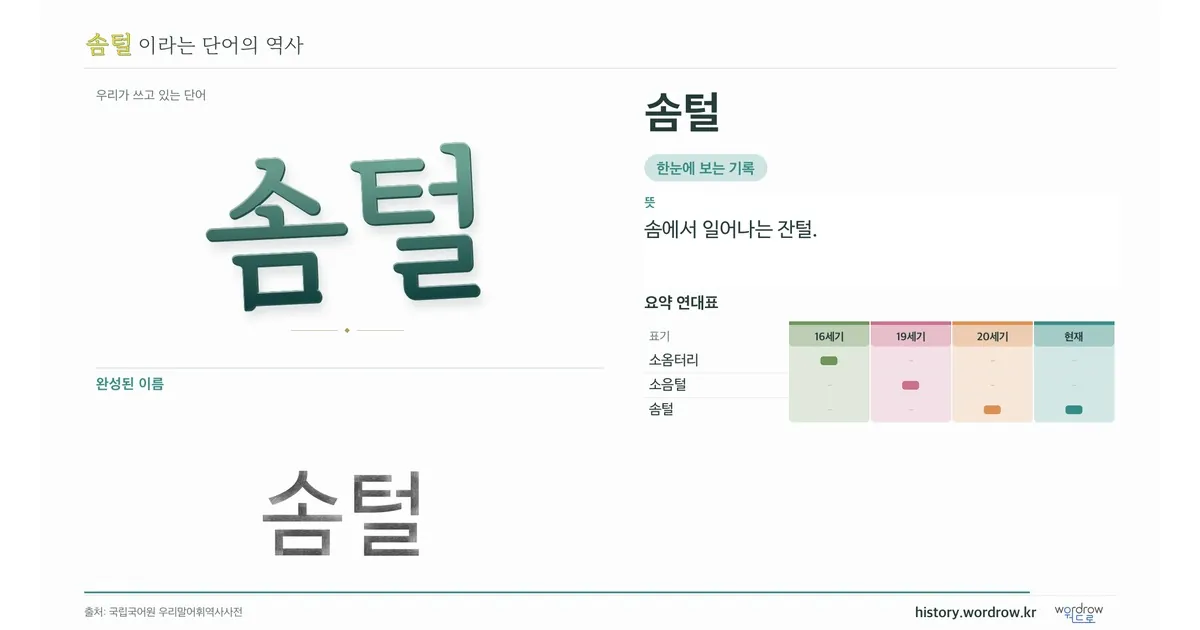 솜털 대표 이미지