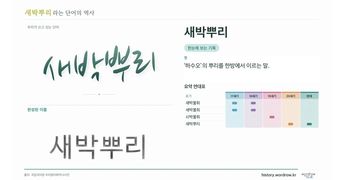 새박뿌리 대표 이미지