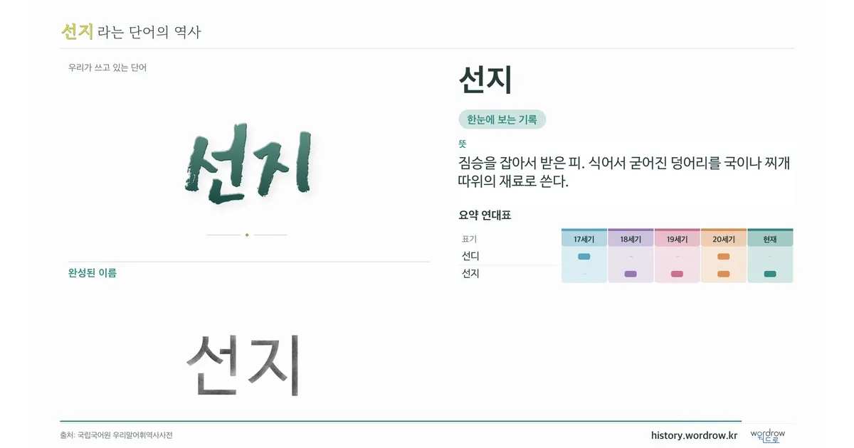 선지 대표 이미지