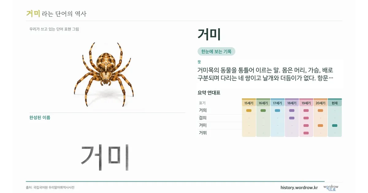 거미 대표 이미지