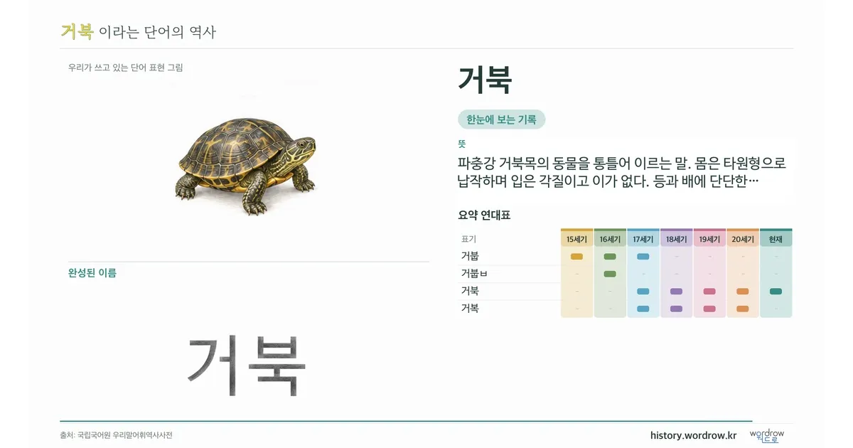 거북 대표 이미지