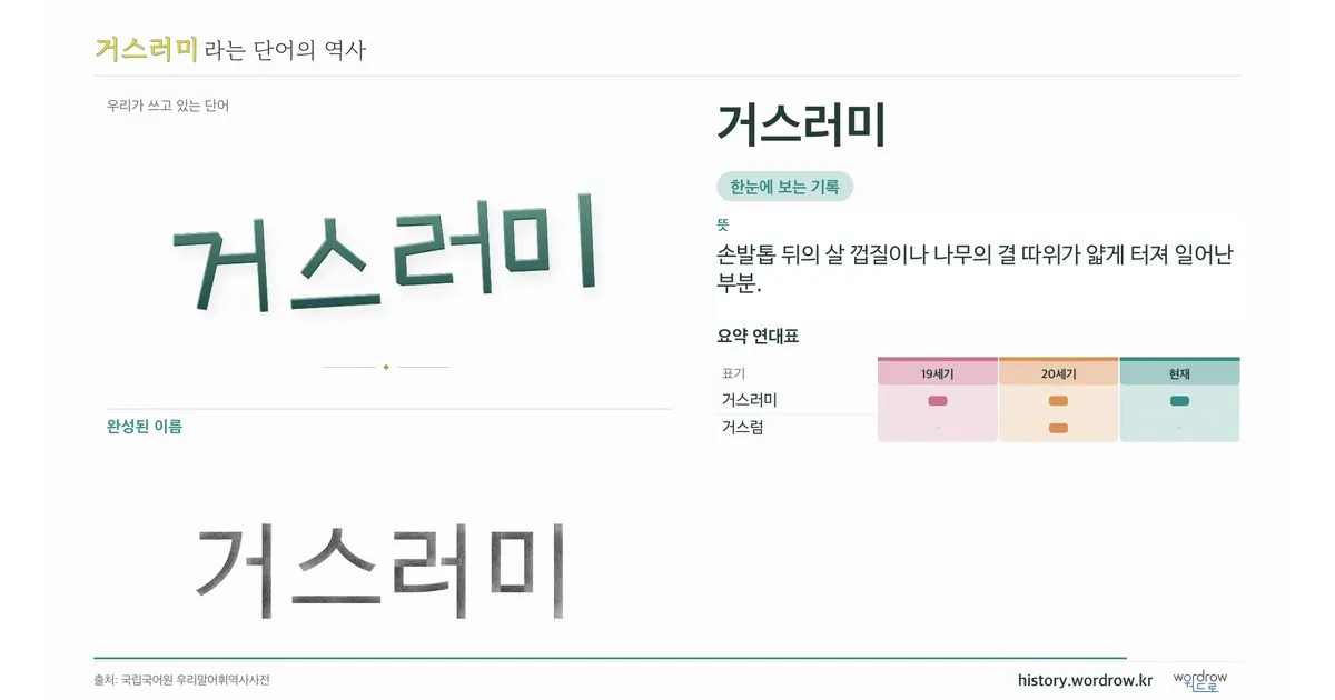 거스러미 대표 이미지