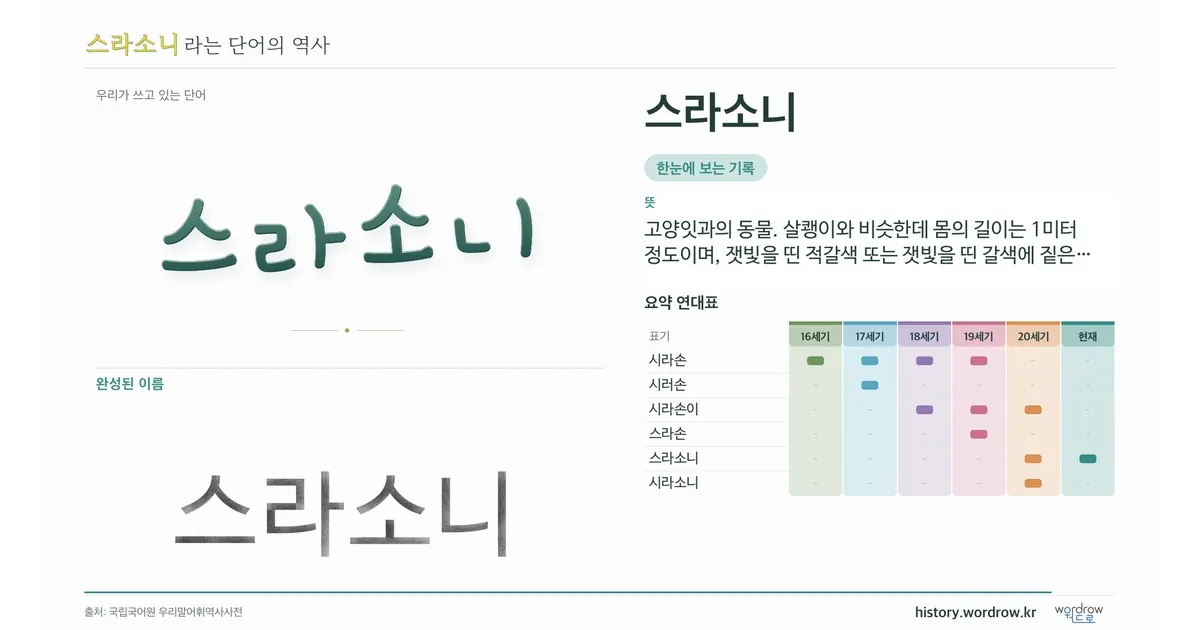 스라소니 대표 이미지
