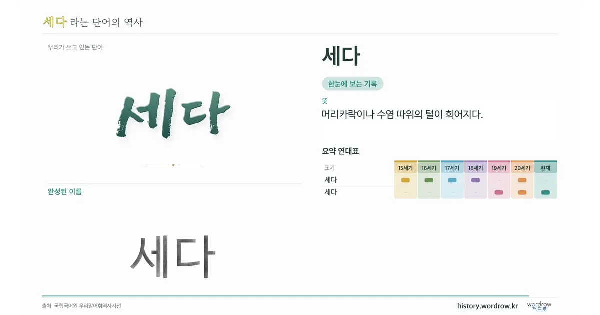 세다 대표 이미지