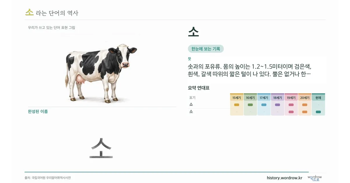 소 대표 이미지