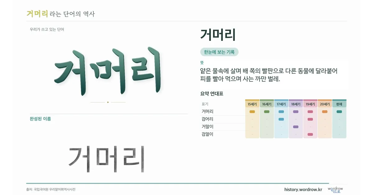 거머리 대표 이미지