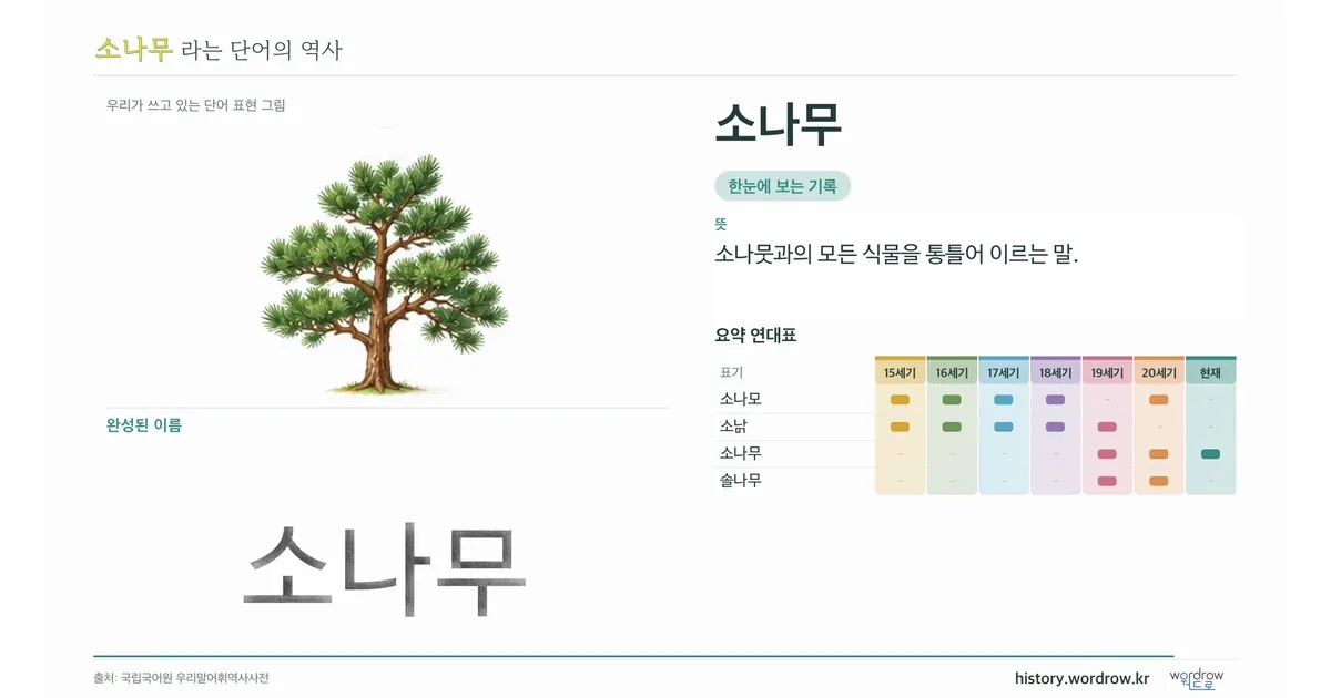 소나무 대표 이미지