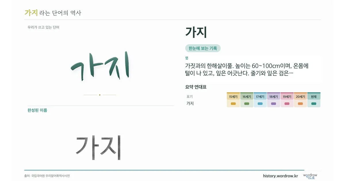 가지 대표 이미지