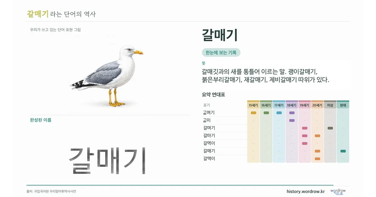 갈매기 대표 이미지