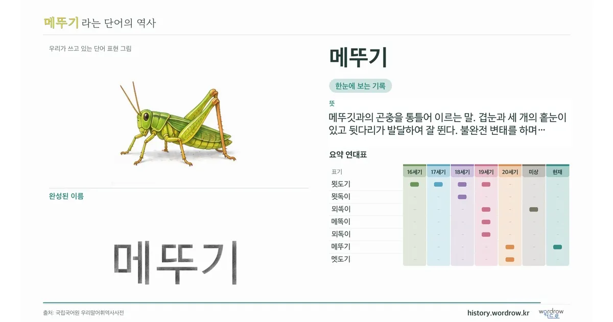 메뚜기 대표 이미지