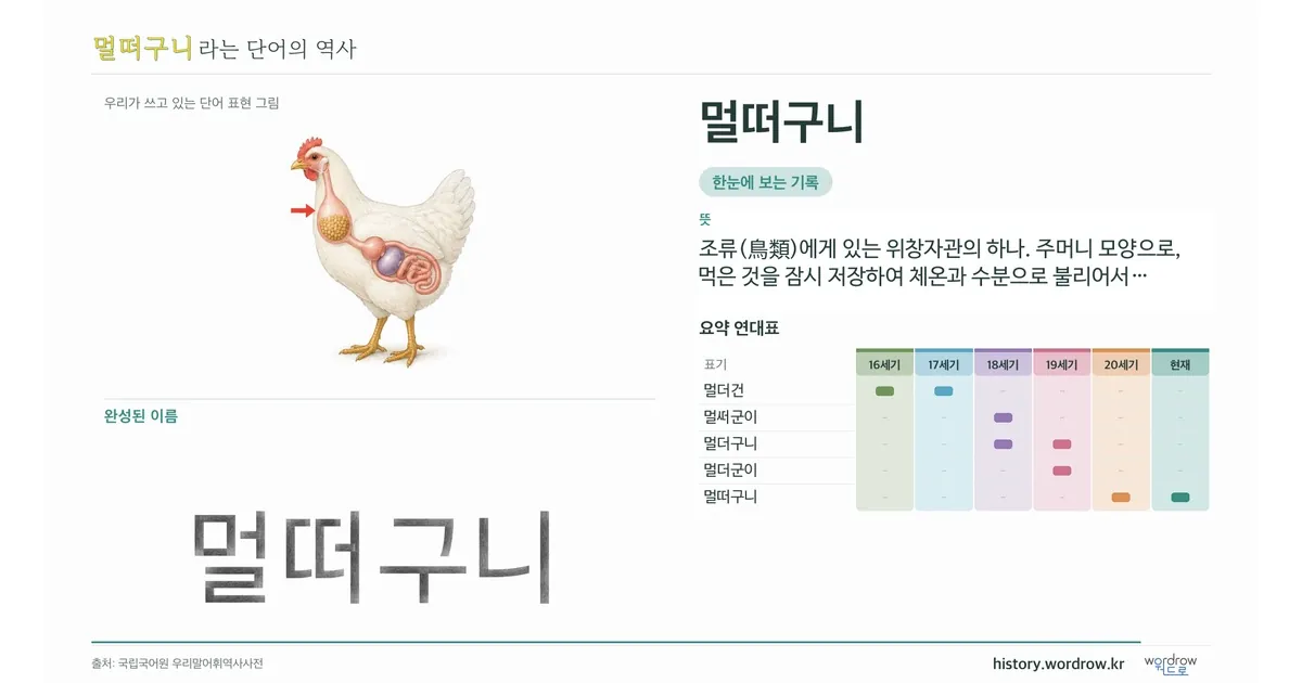 멀떠구니 대표 이미지