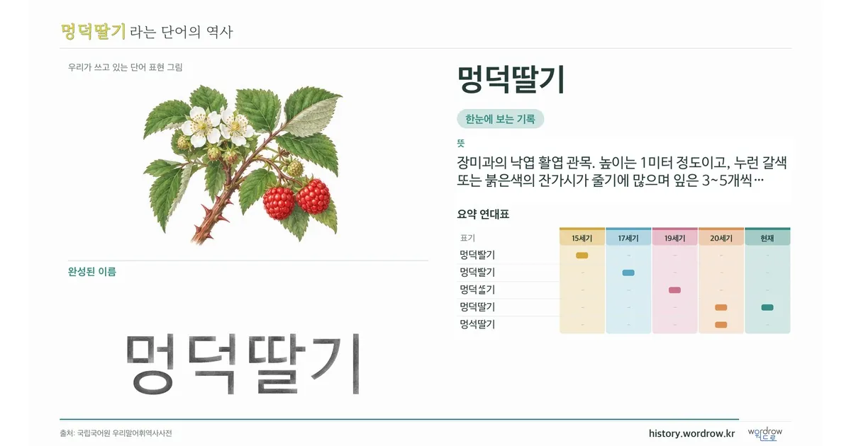 멍덕딸기 대표 이미지