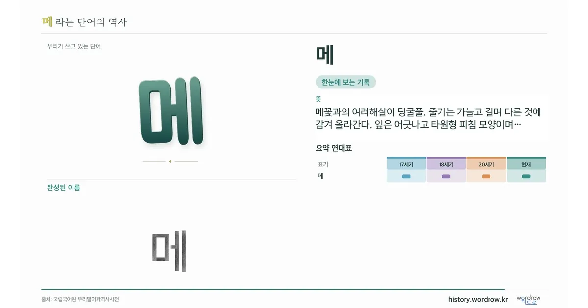메 대표 이미지