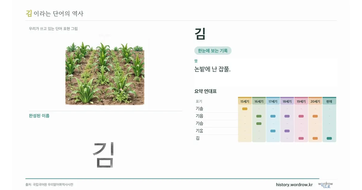 김 대표 이미지