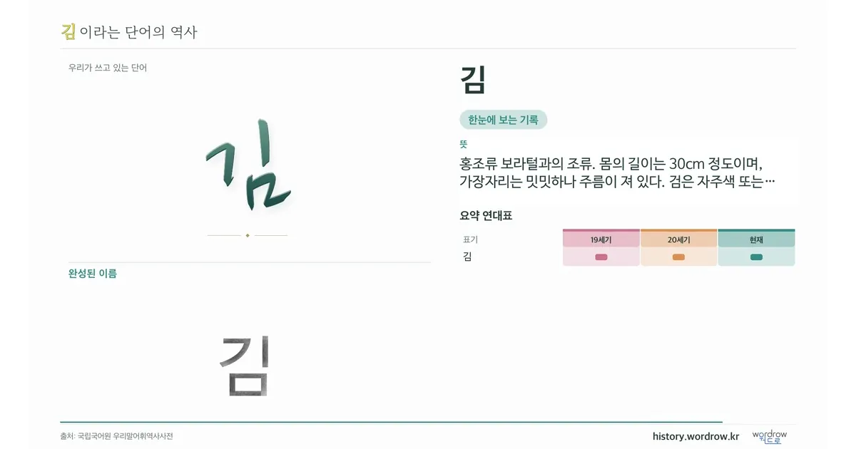 김 대표 이미지