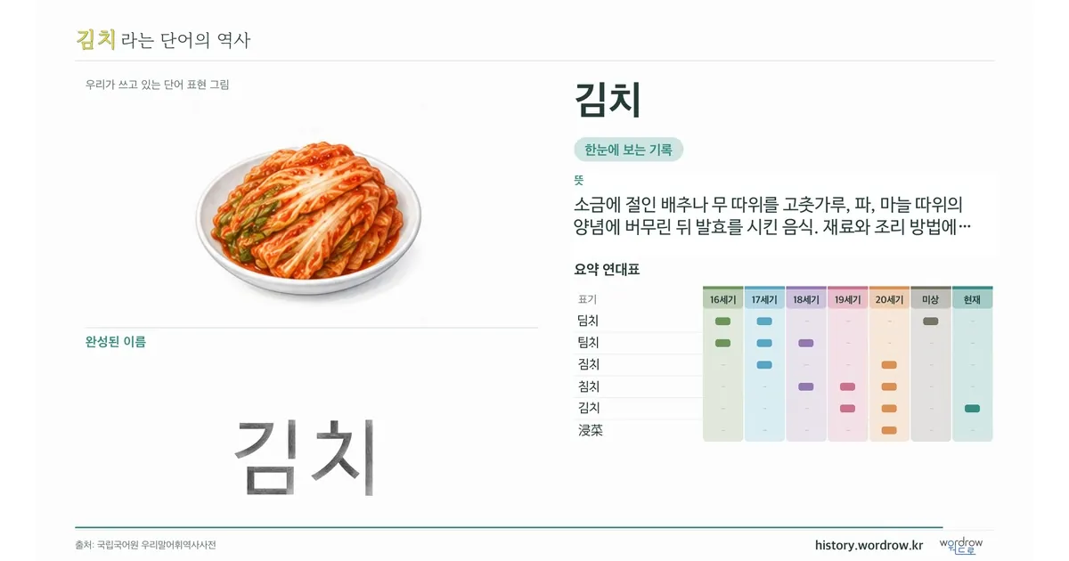 김치 대표 이미지
