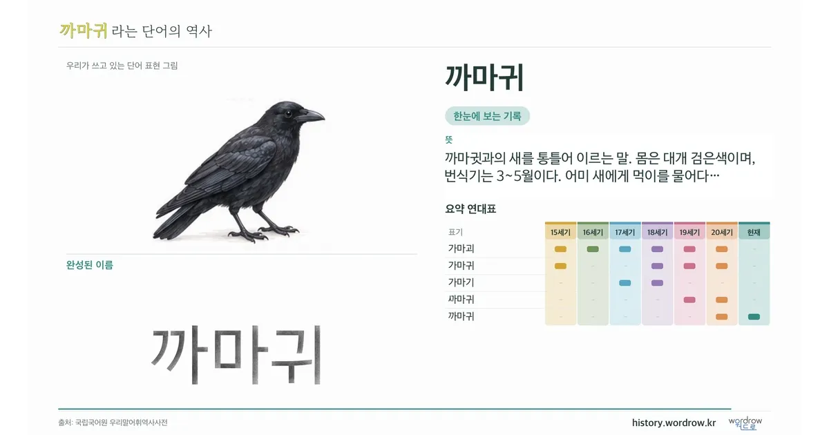 까마귀 대표 이미지