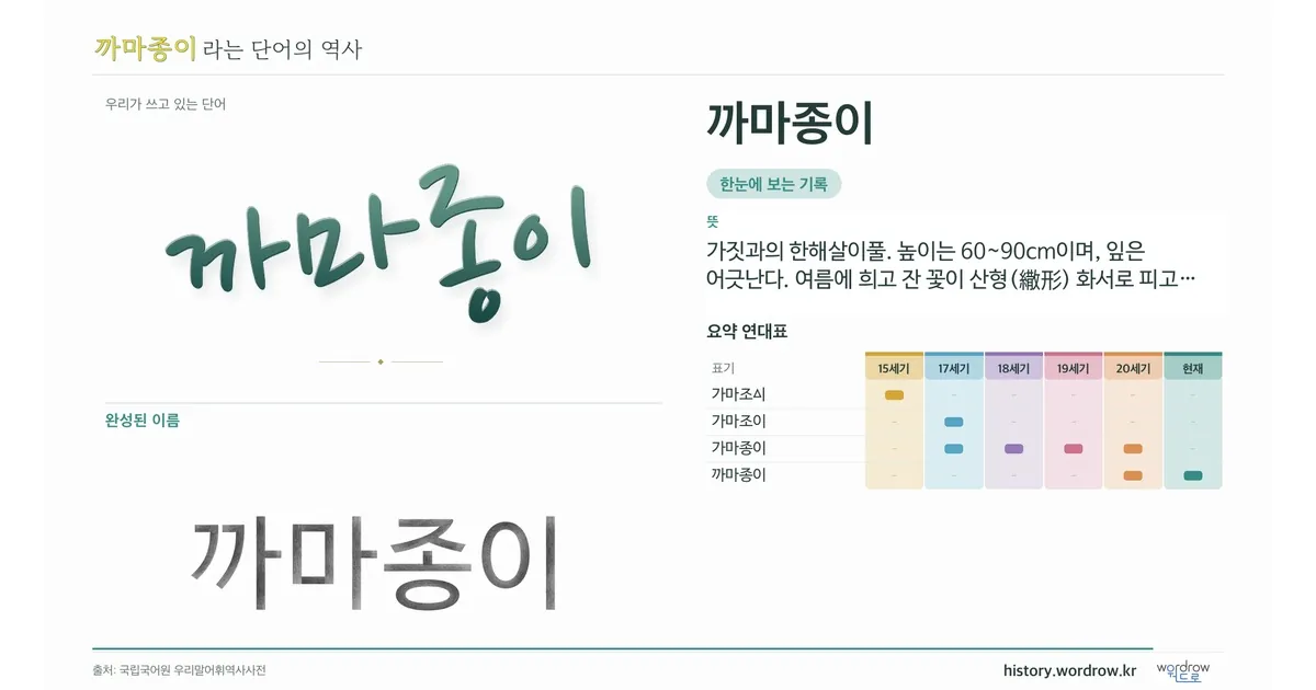 까마종이 대표 이미지