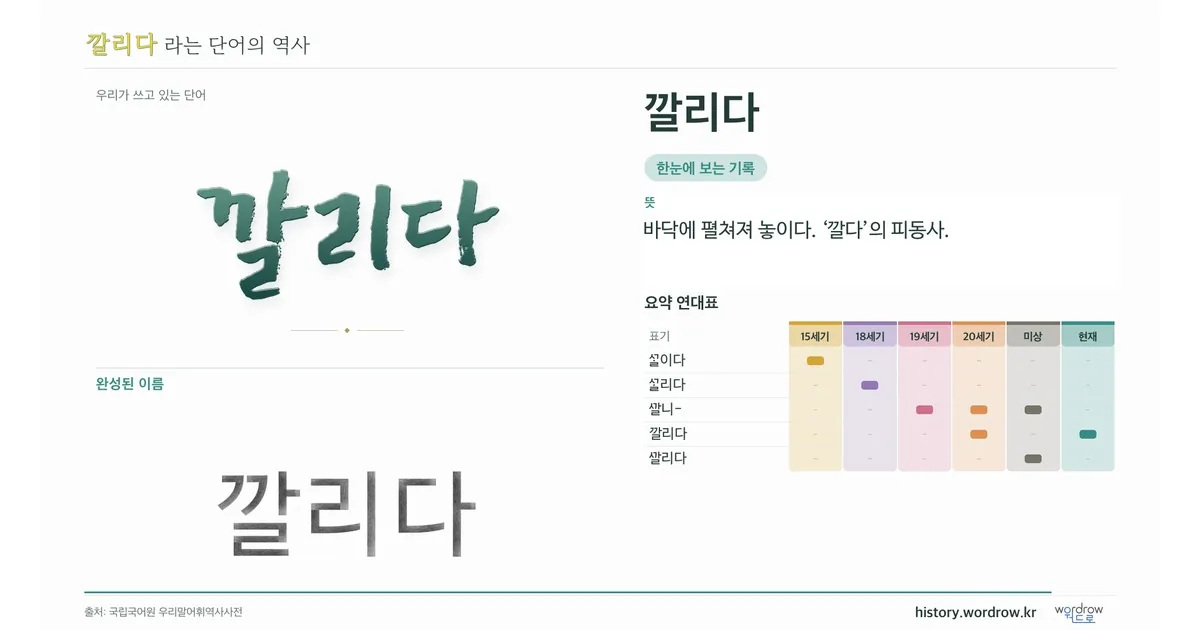 깔리다 대표 이미지