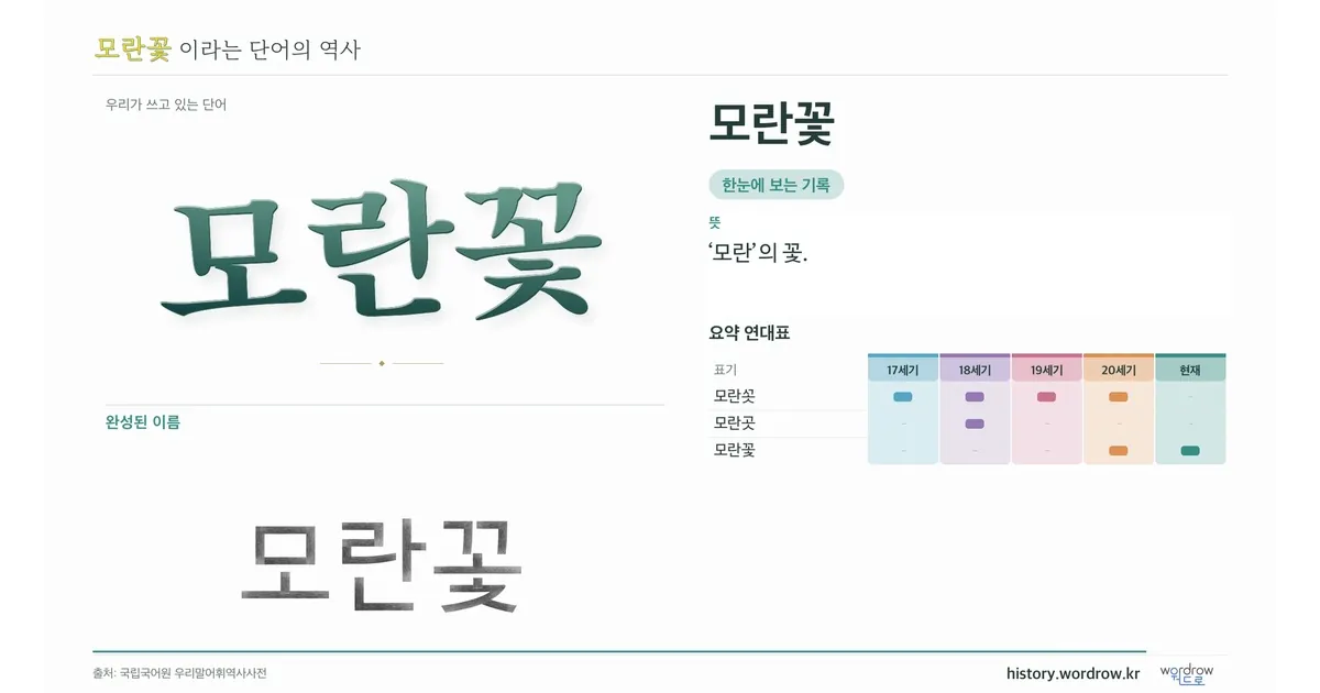 모란꽃 대표 이미지