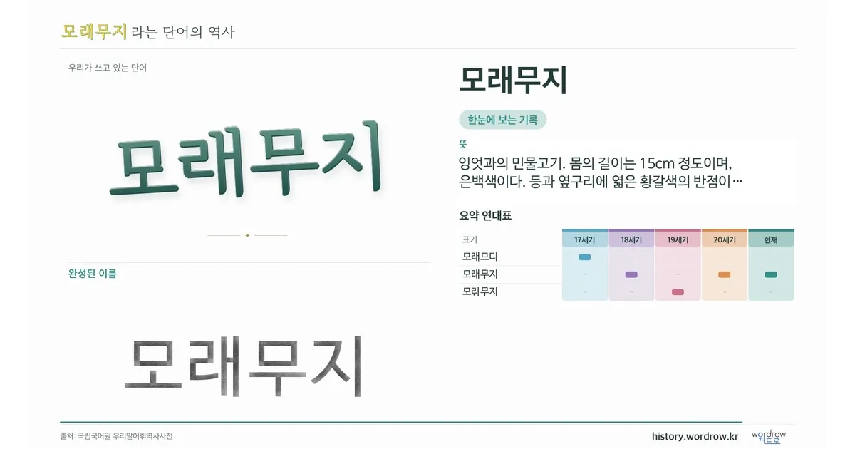 모래무지 대표 이미지