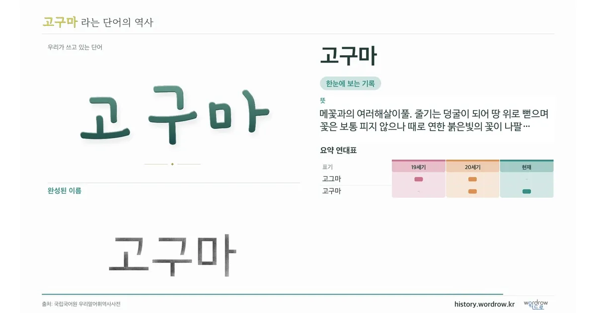 고구마 대표 이미지