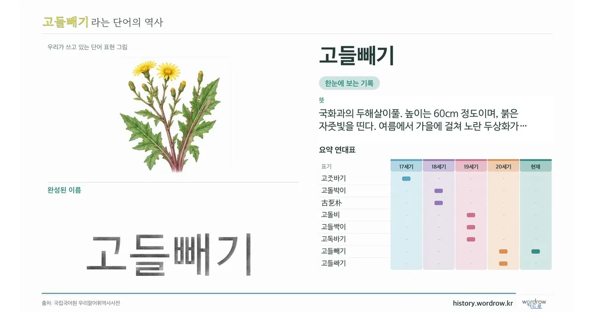 고들빼기 대표 이미지