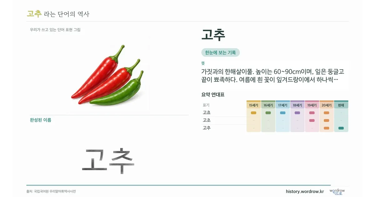 고추 대표 이미지