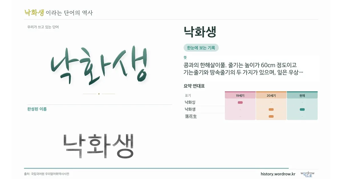 낙화생 대표 이미지