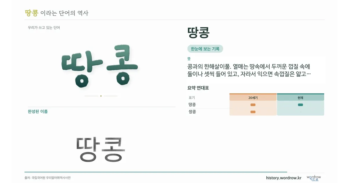 땅콩 대표 이미지