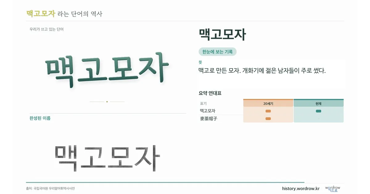 맥고모자 대표 이미지