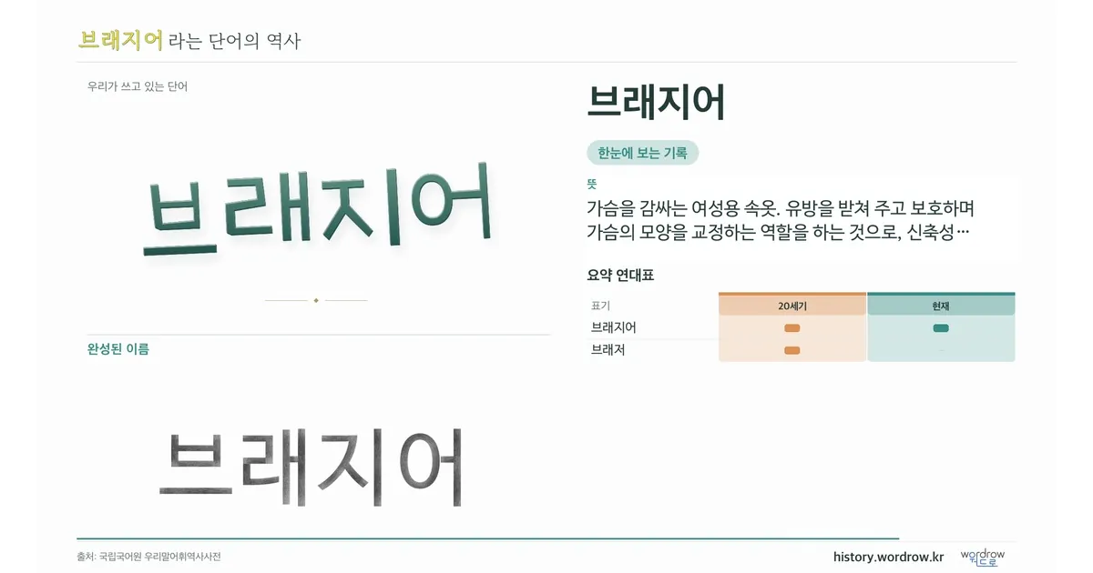 브래지어 대표 이미지