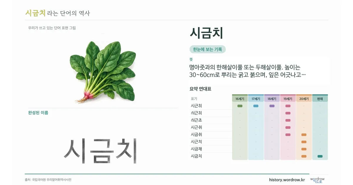 시금치 대표 이미지