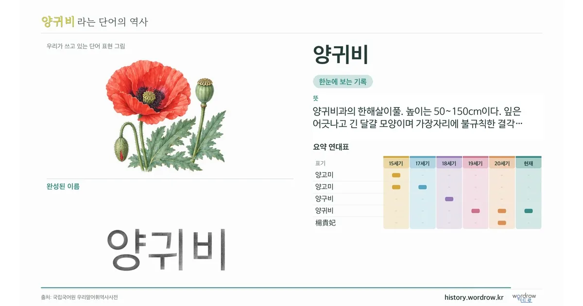 양귀비 대표 이미지