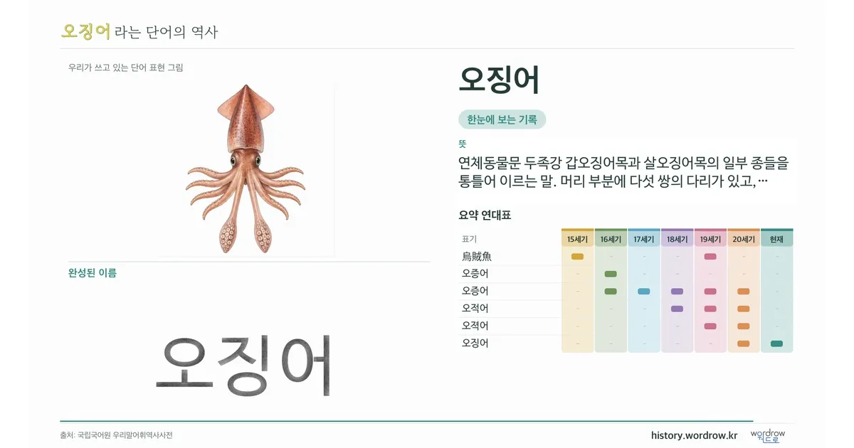 오징어 대표 이미지