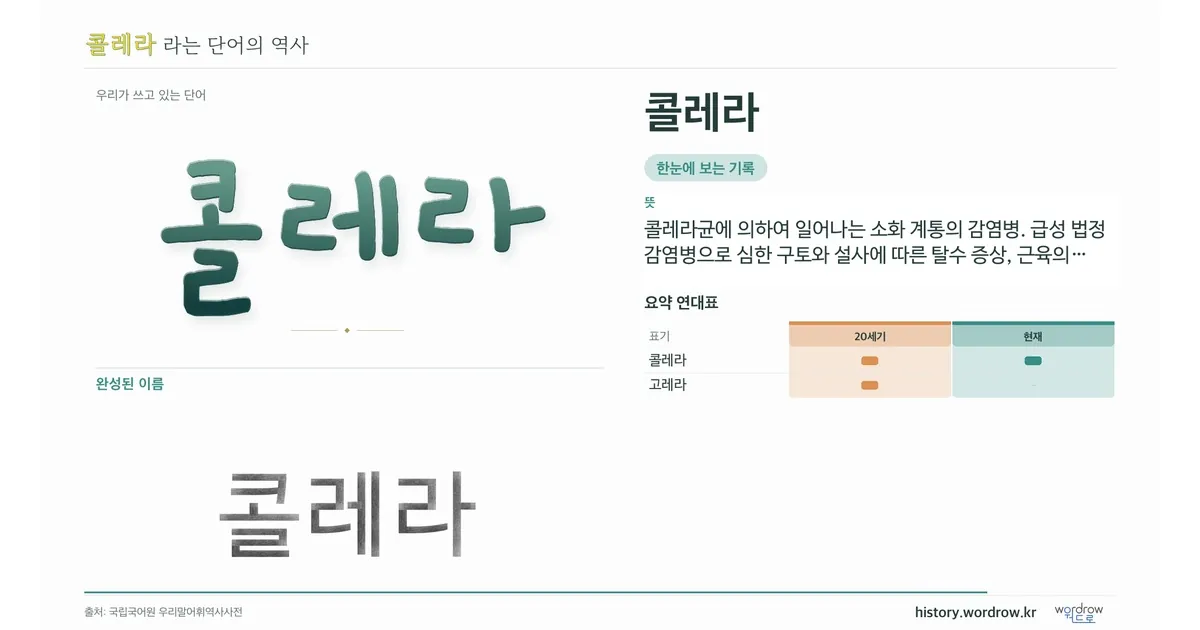 콜레라 대표 이미지