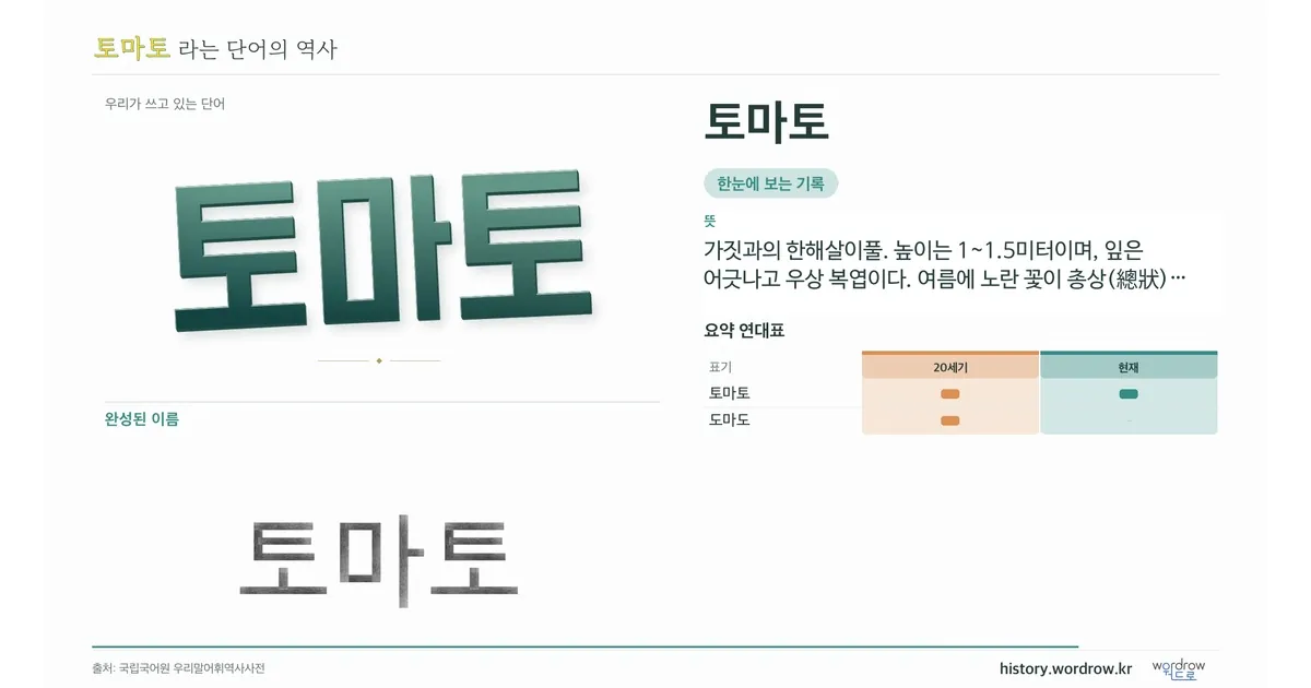 토마토 대표 이미지