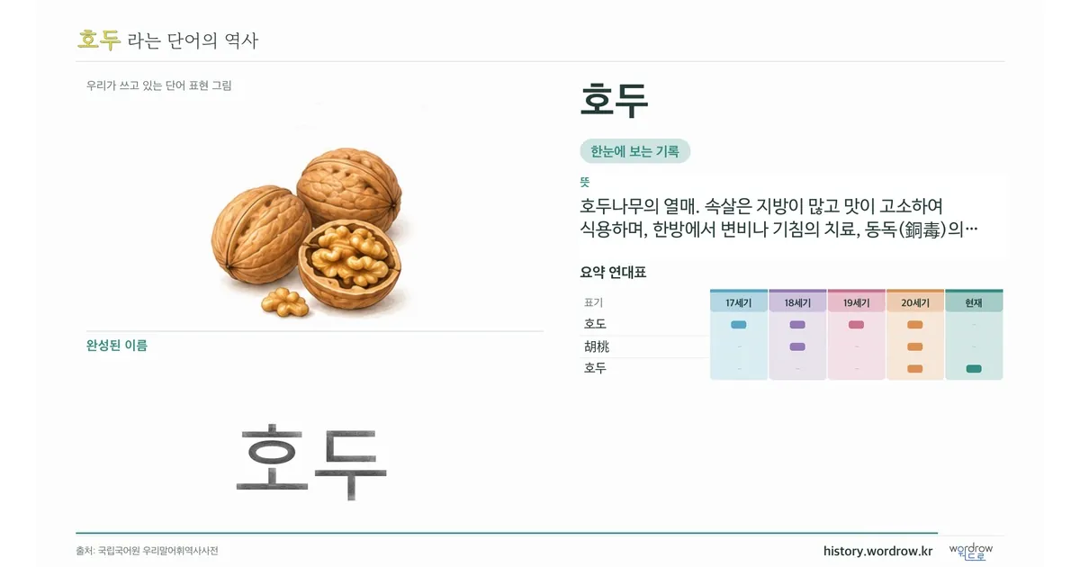 호두 대표 이미지