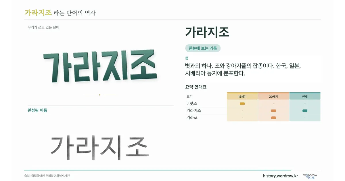 가라지조 대표 이미지