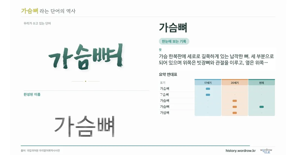 가슴뼈 대표 이미지