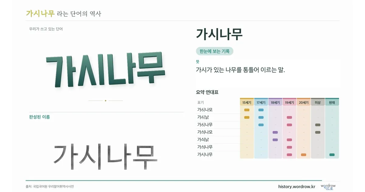 가시나무 대표 이미지