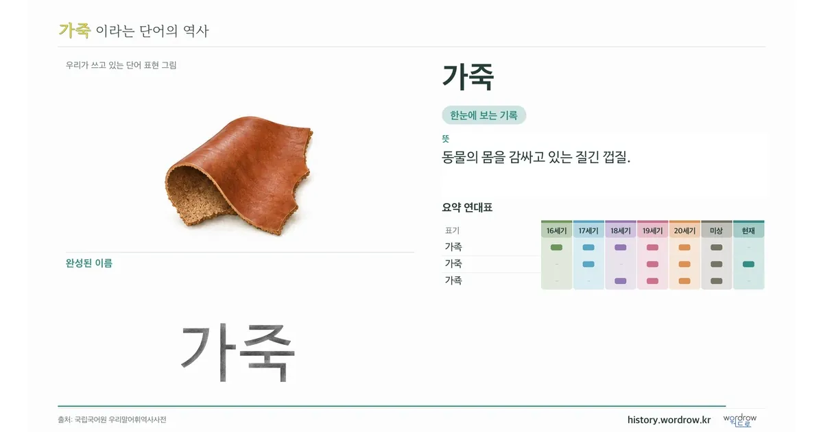 가죽 대표 이미지