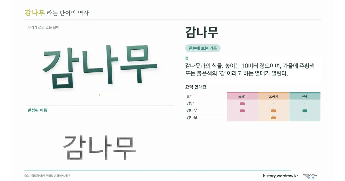 감나무 대표 이미지