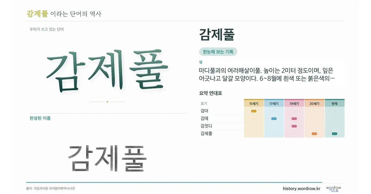 감제풀 대표 이미지