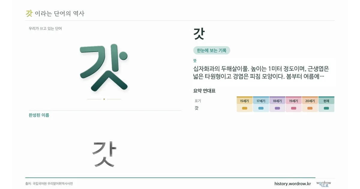 갓 대표 이미지
