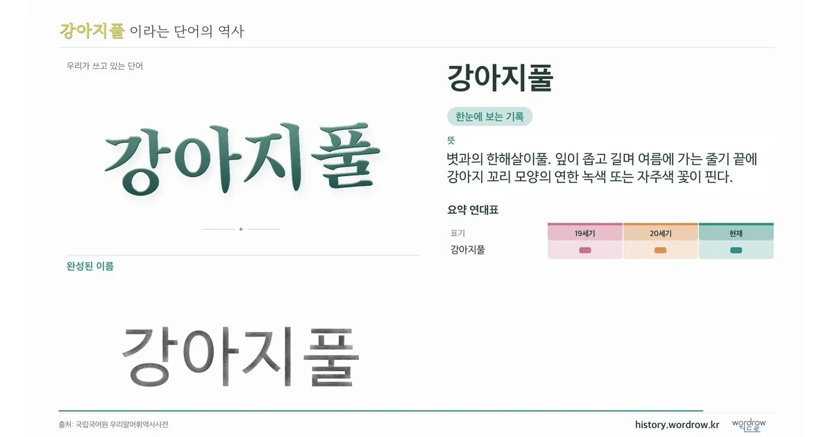 강아지풀 대표 이미지