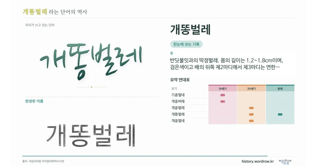 개똥벌레 대표 이미지